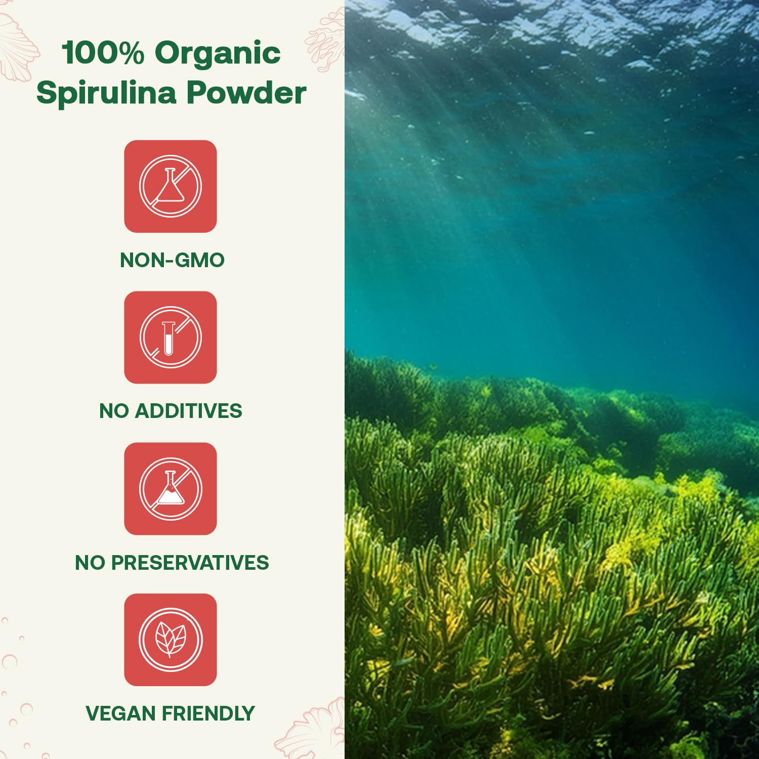 Quay Naturals Spirulina deshidratada por liofilización conserva nutrientes
