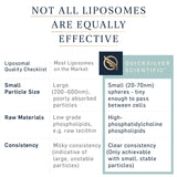 Detalle de ingredientes liposomales que favorecen la absorción.