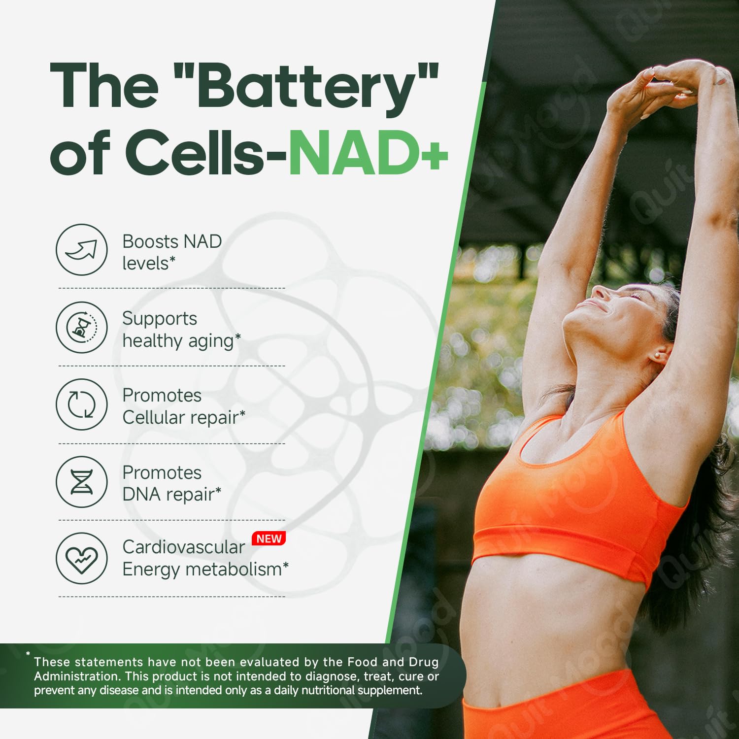 Quit mood trans-resveratrol, antioxidante para apoyo celular.