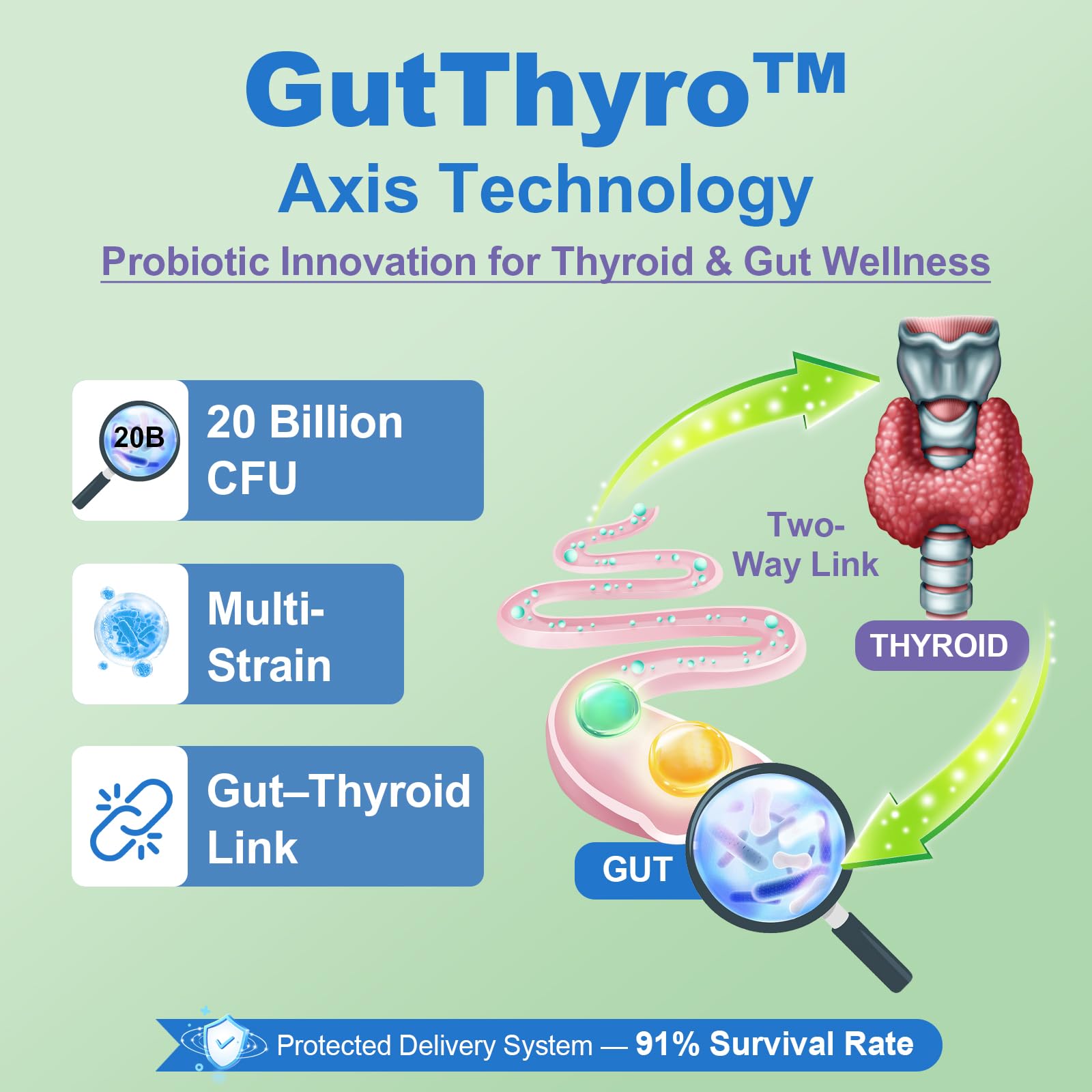 Complejo ThyroSynth para mujeres con ashwagandha y colágeno marino.