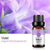Rainbow Abby violeta para piel, uso cosmético suave en casa