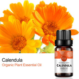 RAINBOW ABBY Calendula: regalo elegante de aceite esencial para ocasiones