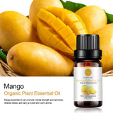 RAINBOW ABBY Difusor con mango perfuma habitaciones