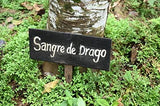 Raw Garden Sangre de Dragón, uso recomendado para aromaterapia suave.