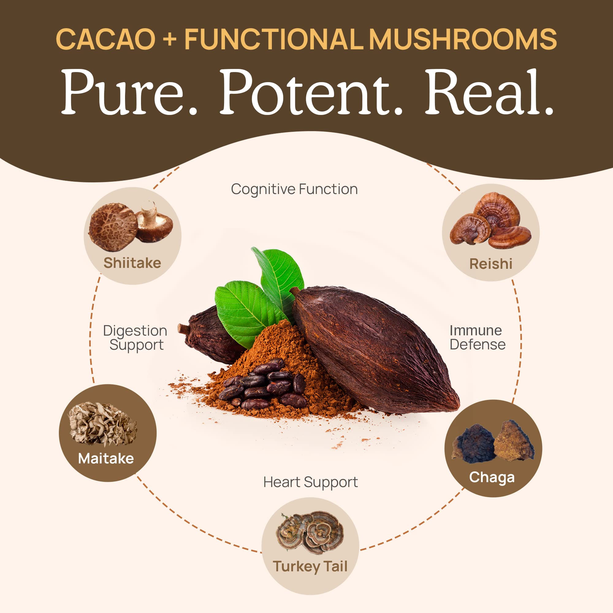 Real Mushrooms Aroma vainilla, cacao profundo con un toque suave