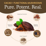 Real Mushrooms Aroma vainilla, cacao profundo con un toque suave