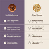 Real Mushrooms Chaga Cápsulas: cápsulas dentro del frasco, fácil manejo y almacenamiento