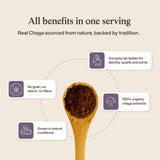Real Mushrooms Chaga Cápsulas: producidas en EE. UU. con control de calidad riguroso