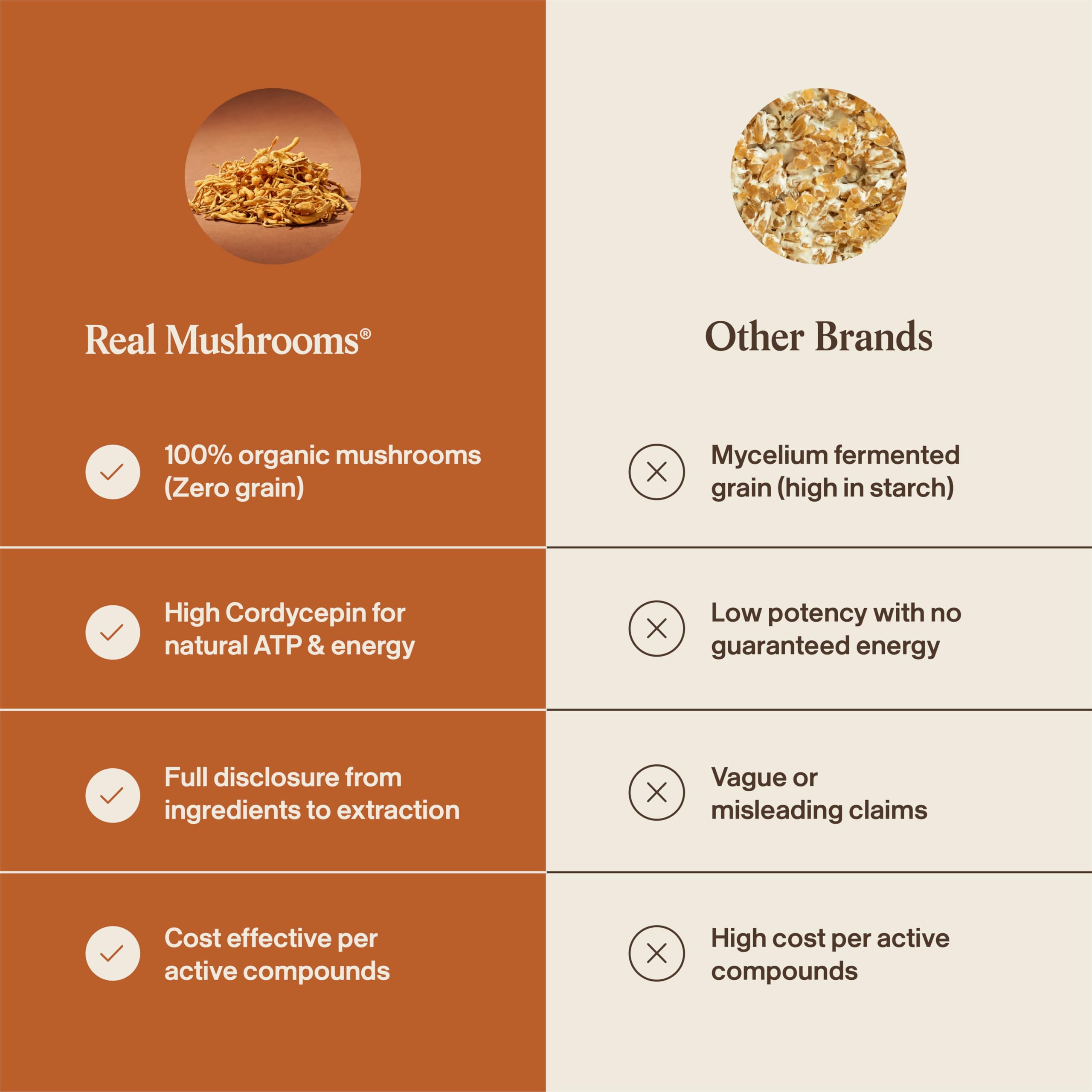 Real Mushrooms cordyceps polvo para té, integración sencilla