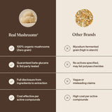 Real Mushrooms Lion Mane: enfoque suave y posibles beneficios para concentración.