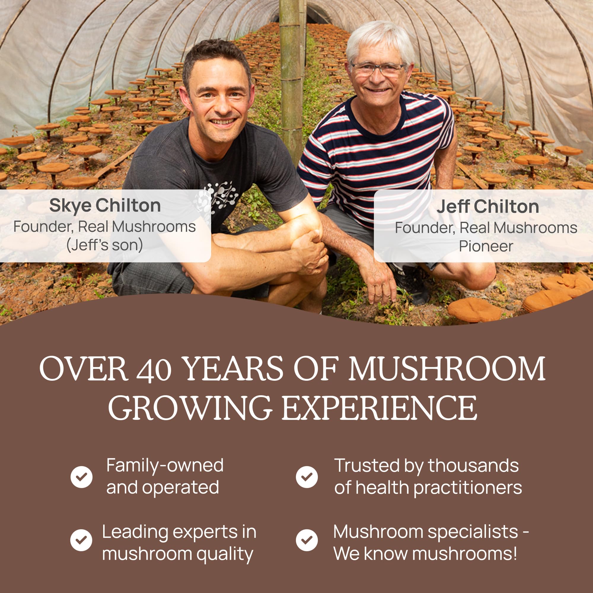 Real Mushrooms Sin sabor a hongo, experiencia suave en la bebida