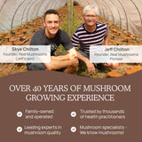 Real Mushrooms Sin sabor a hongo, experiencia suave en la bebida