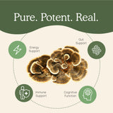 Real Mushrooms Turkey Tail polvo orgánico, sin aditivos ni rellenos