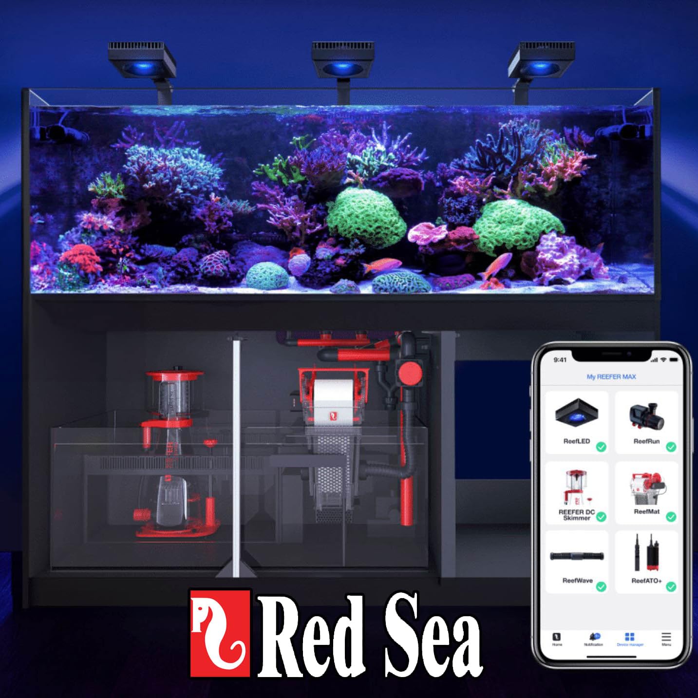 Red Sea Foundation A magnesio incluido para equilibrio estructural