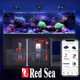 Red Sea Foundation A magnesio incluido para equilibrio estructural