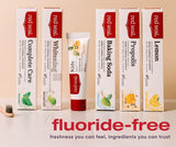Red Seal pasta dientes sin colorantes artificiales, opción natural para el día a día.