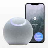 Reflect Orb en la mano para entrenamiento de regulación emocional.