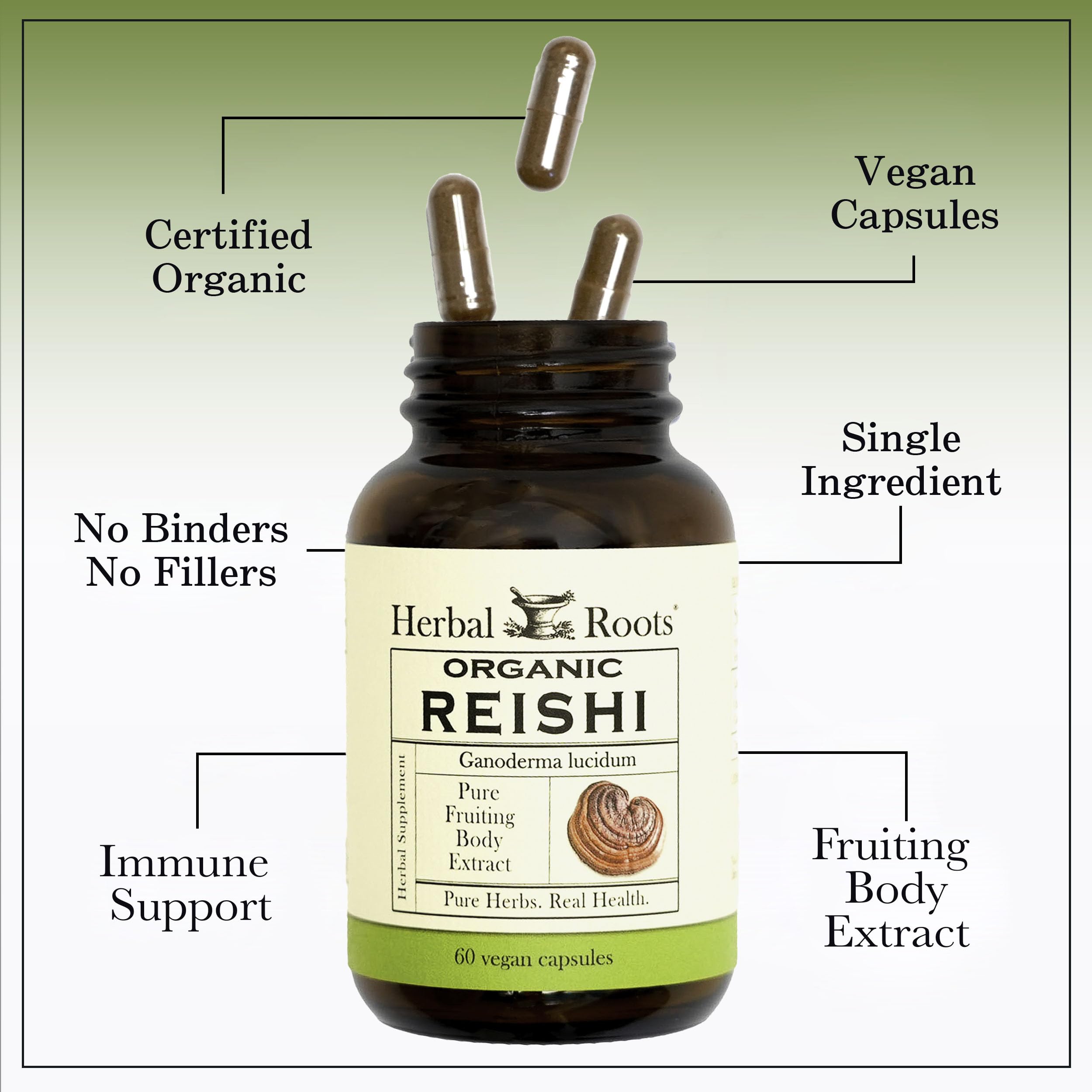 Reishi sin aditivos de Herbal Roots, fórmula limpia y pura.
