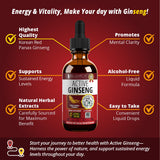 Rejuvica Active Ginseng: extractos naturales y pureza en cada gota.