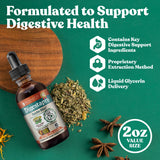 Rejuvica Health DigestaPro, gotero en primer plano, dosis precisa para uso diario.