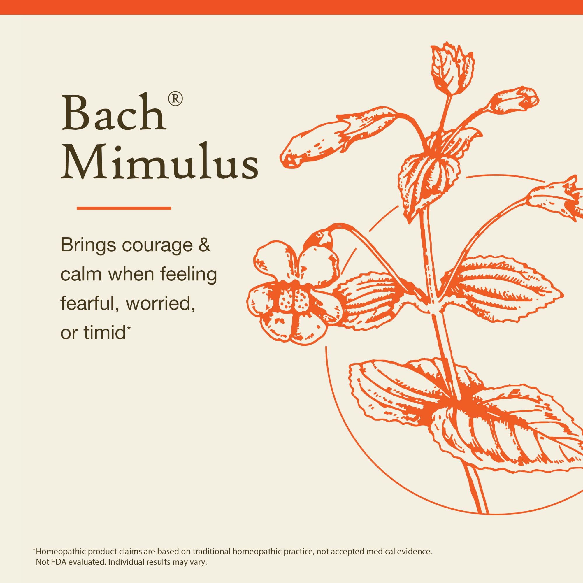 Remedios Florales Bach Mimulus, etiqueta: resumen de un enfoque natural para equilibrio emocional.