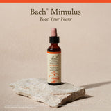 Remedios Florales Bach Mimulus, presentación 20ml: fórmula vegana y sin alérgenos para uso diario.