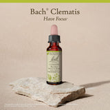 Remedios Florales Bach: Clematis ambiente relajante para concentración consciente