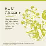 Remedios Florales Bach: Clematis etiqueta que señala producto y uso