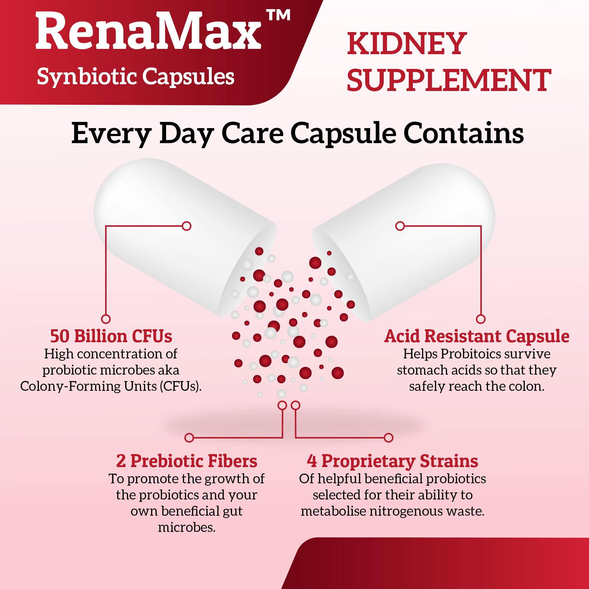 RENAMAX prebiótico FOS para promover microbios sanos