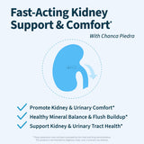 Renavive fórmula con chanca piedra y semilla de apio, apoyo natural para la función renal.