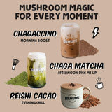 Renude Chaga Matcha preparado para latte con antioxidantes naturales