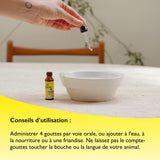 RESCUE Pets envase compacto ideal para viajes