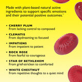 RESCUE SLEEP: remedios florales Bach para serenidad emocional