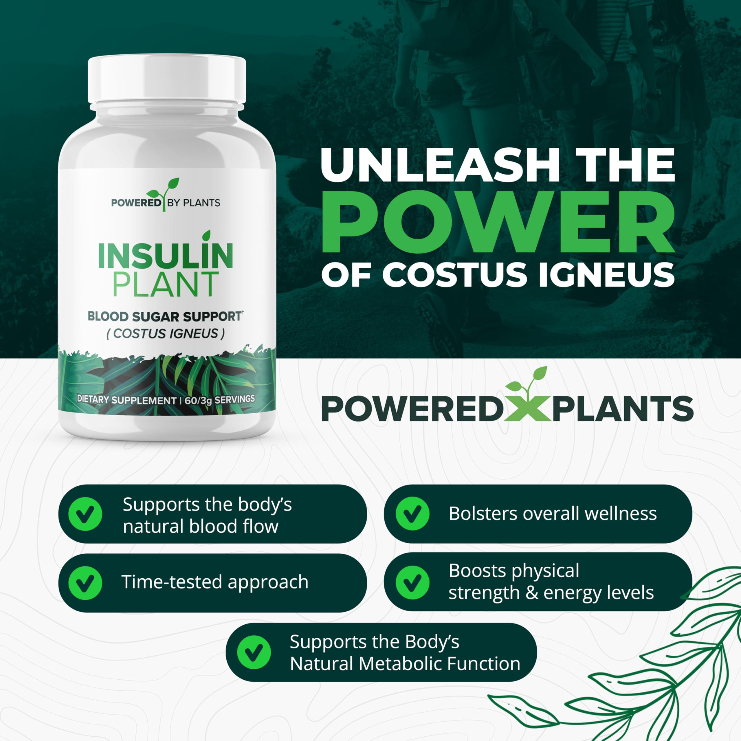 Research Biotech Group cápsulas planta insulina, caja, presentación práctica para el día a día
