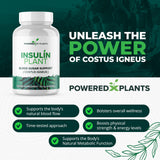 Research Biotech Group cápsulas planta insulina, caja, presentación práctica para el día a día