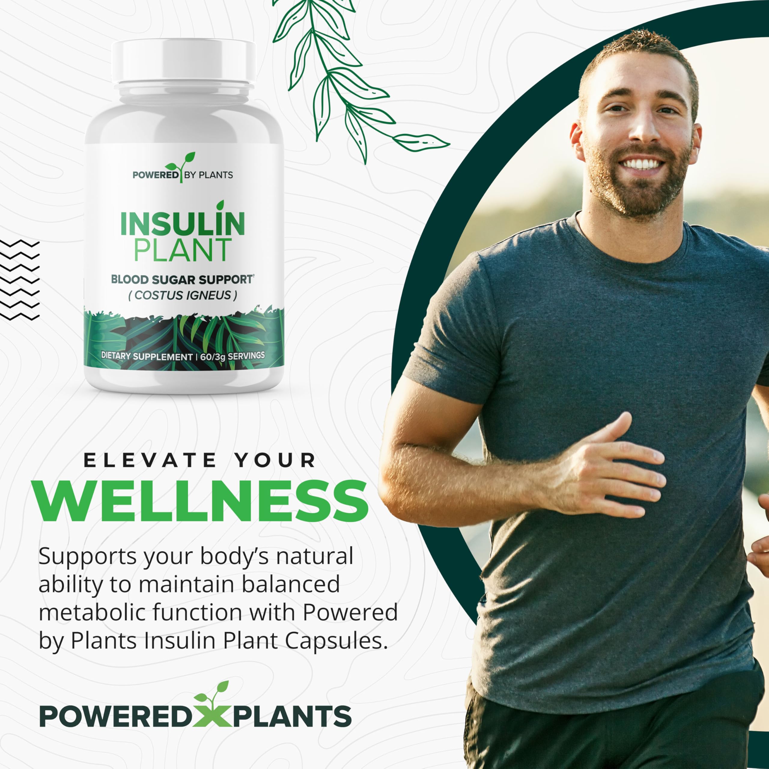 Research Biotech Group cápsulas planta insulina, etiqueta frontal, información de ingredientes clara