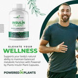 Research Biotech Group cápsulas planta insulina, etiqueta frontal, información de ingredientes clara