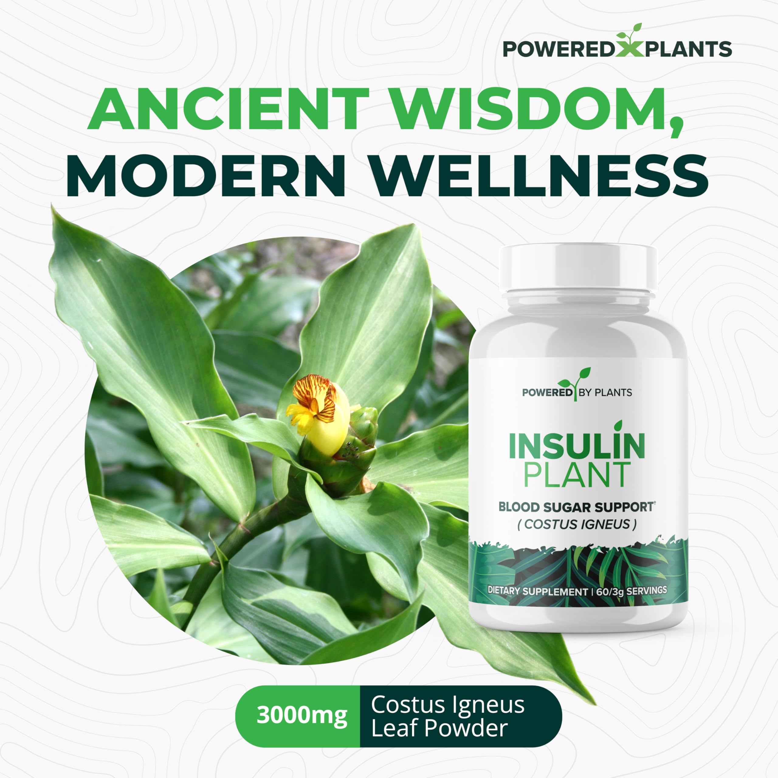 Research Biotech Group Costus Igneus hoja, fuente natural en la fórmula