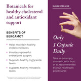 Ingrediente antioxidante principal: resveratrol y bergamota en Reserveage.