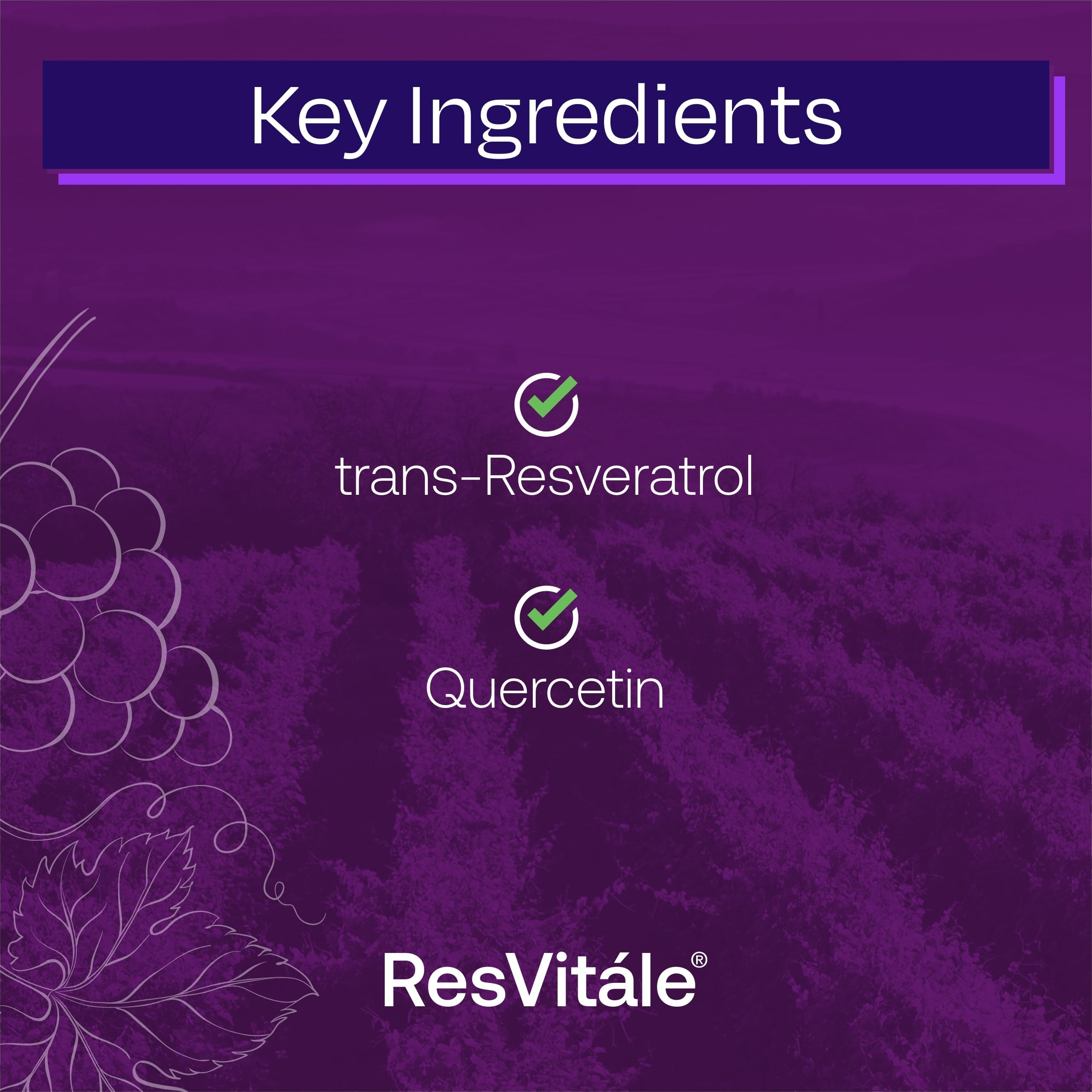 Cápsulas vegetales de ResVitále Resveratrol listas para tomar.