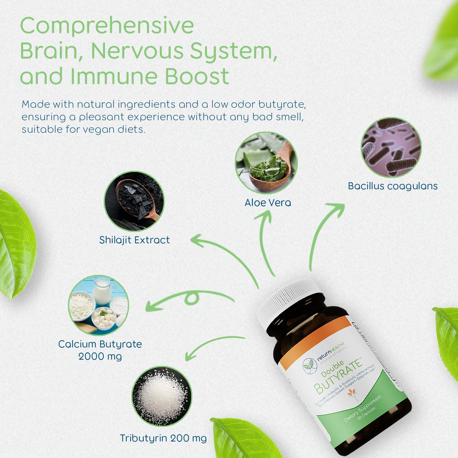 Return Healthy, origen 2012, enfoque en bienestar natural.