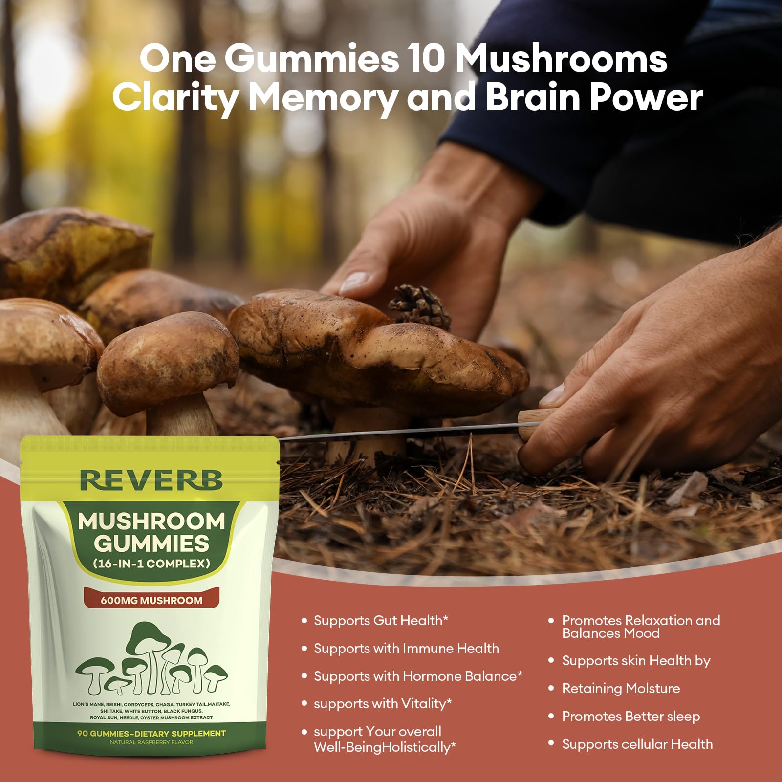 REVERB gomitas cordyceps, energía sostenida para actividades diarias