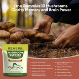REVERB gomitas cordyceps, energía sostenida para actividades diarias