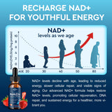 ReviNutra NAD liposomico antioxidantes para apoyo general de la salud.