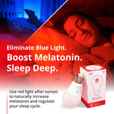 Gamma Revive: iluminación cálida para descanso profundo sin parpadeos.