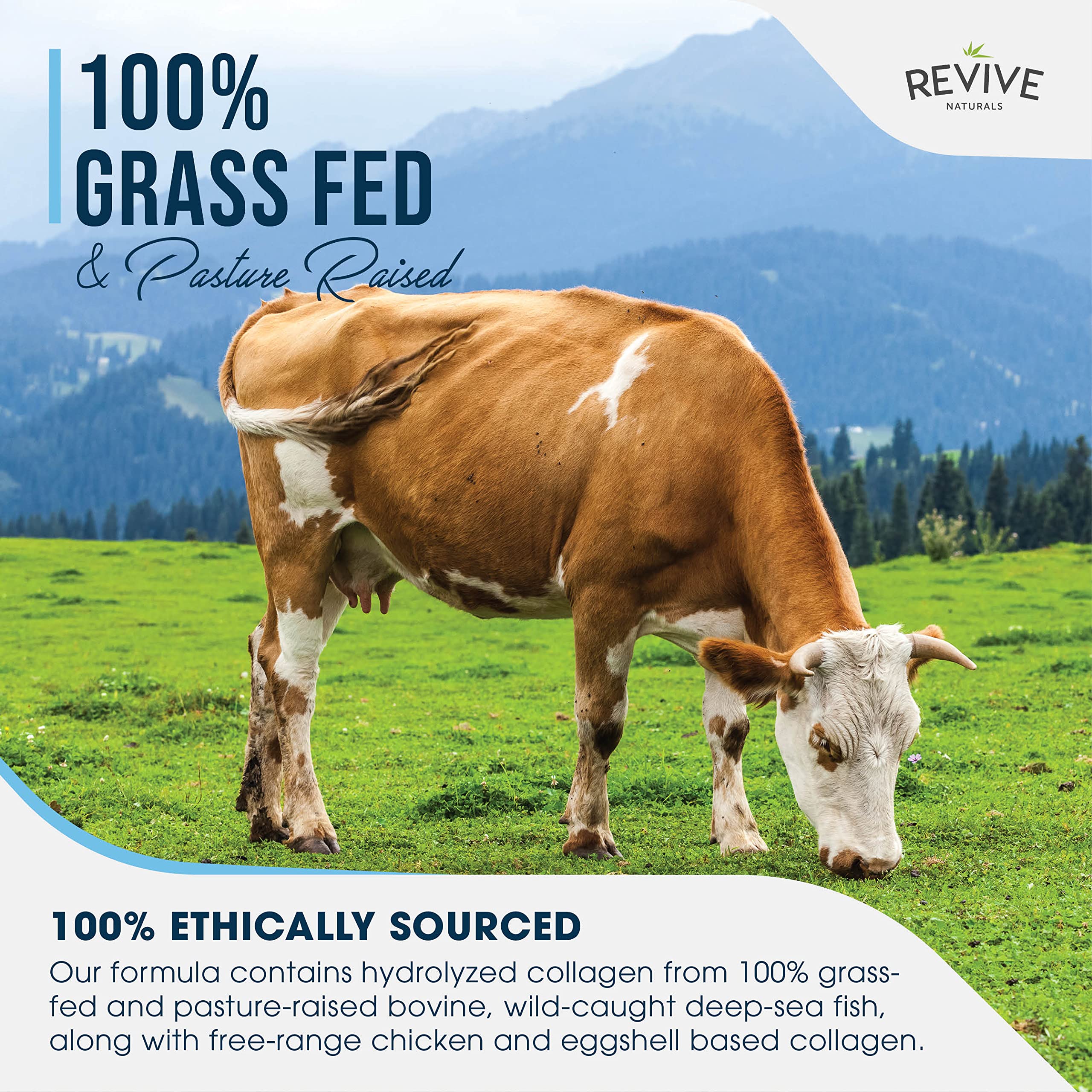 Revive Naturals Multicolágeno hidrolizado, cuchara de dosis para medir y mezclar