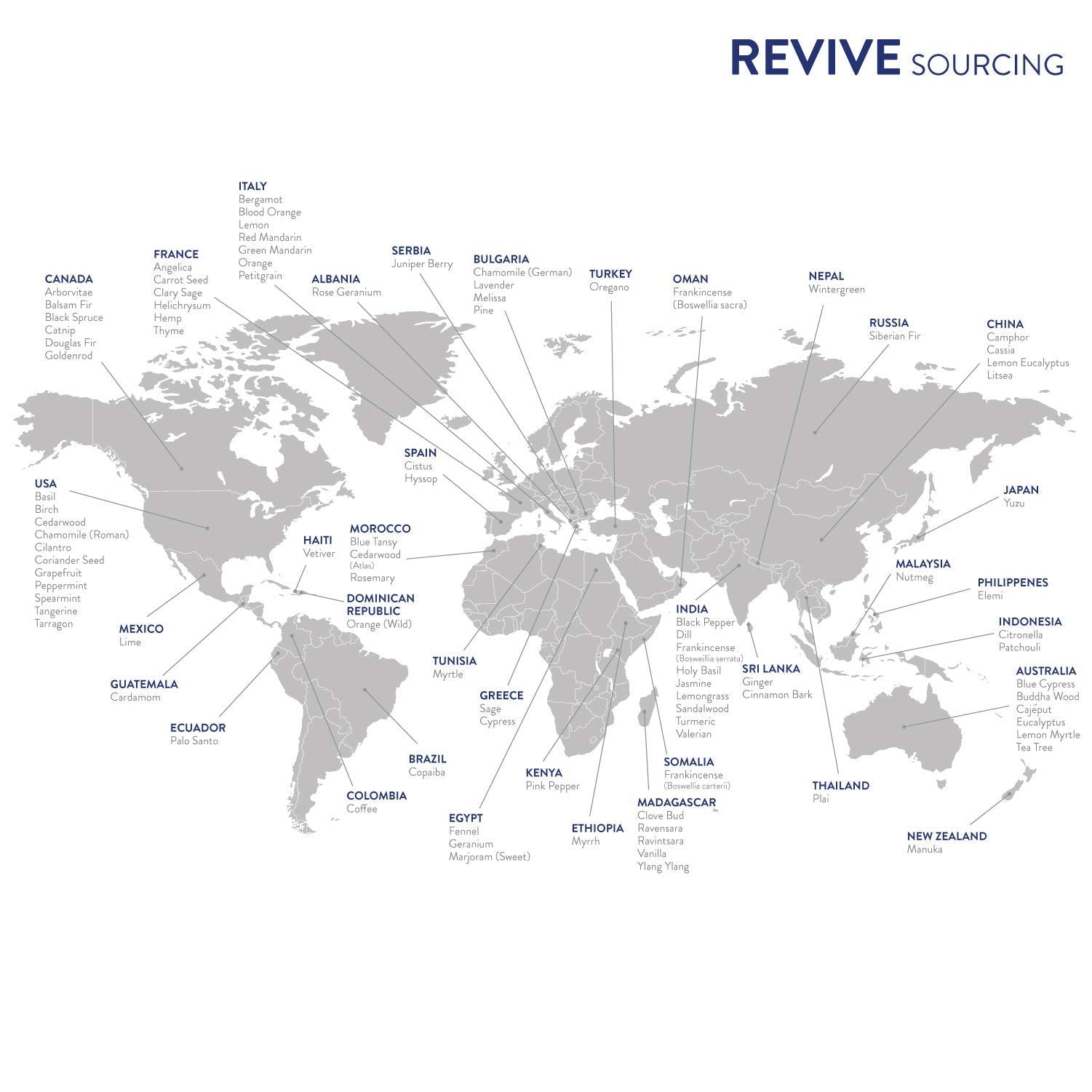 REVIVEEO Peppermint, cuidado capilar, mentolado que revitaliza el cuero cabelludo.