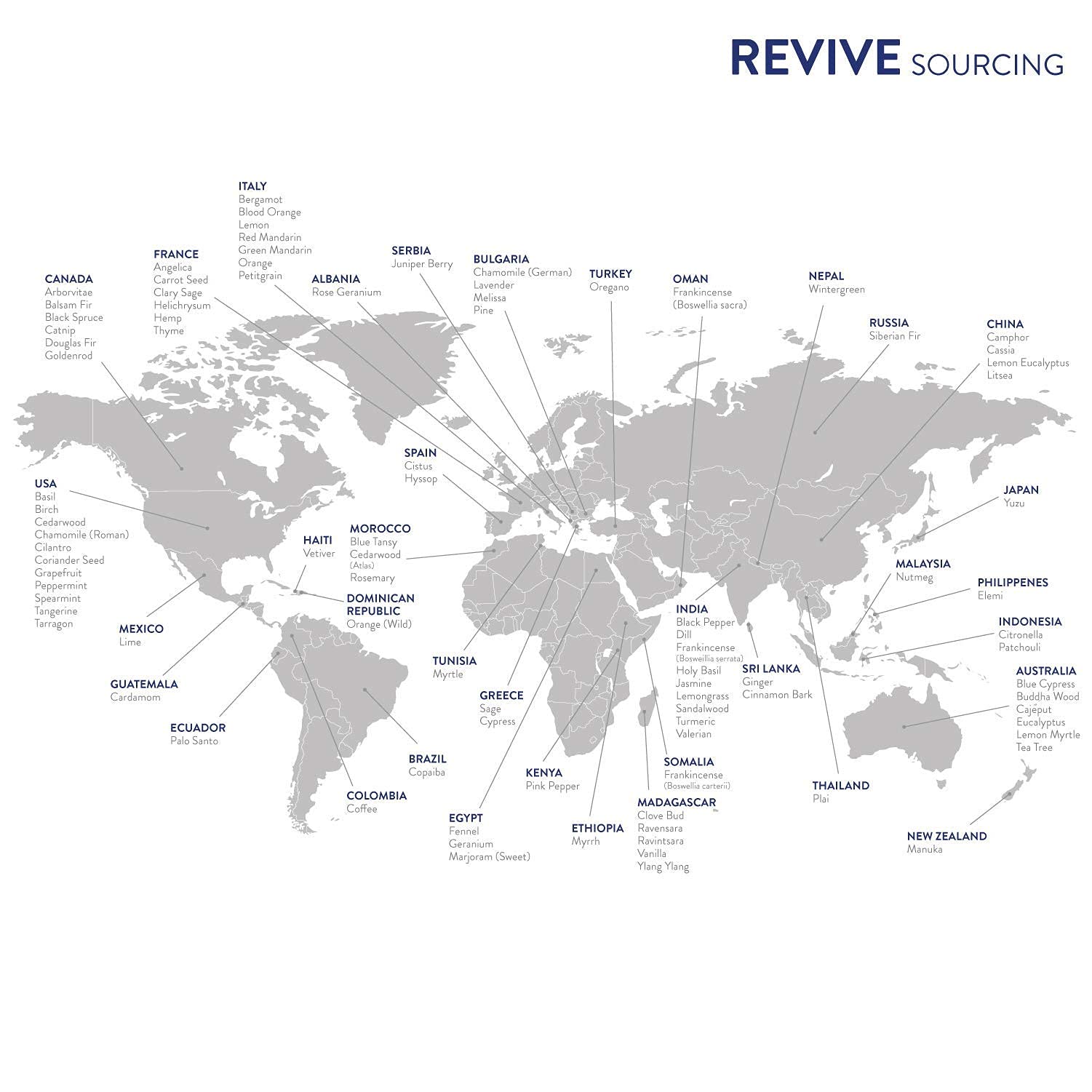 REVIVEEO Mezcla de Clavo para piel y cabello, aroma reconfortante.