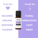 REVIVEEO Lavanda: difusor para aromaterapia que crea calma.