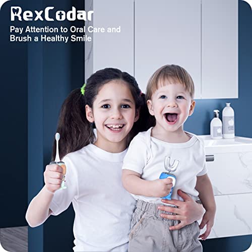 RexCodar cabezas de repuesto para diferentes preferencias de cepillado.